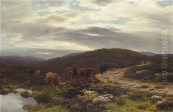 The Long Road Home - view 1