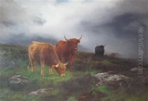Highland Pastures - view 1