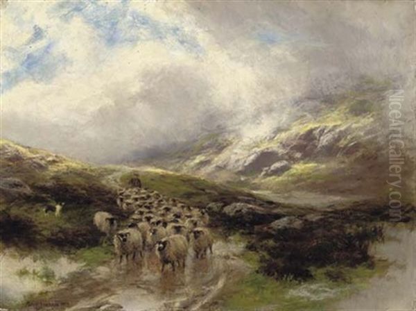 Shower Across The Hills - view 1
