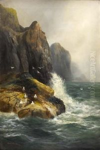 The Seagulls' Haunt