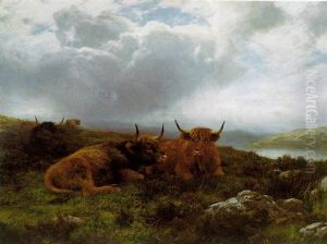 Moorland Quietude