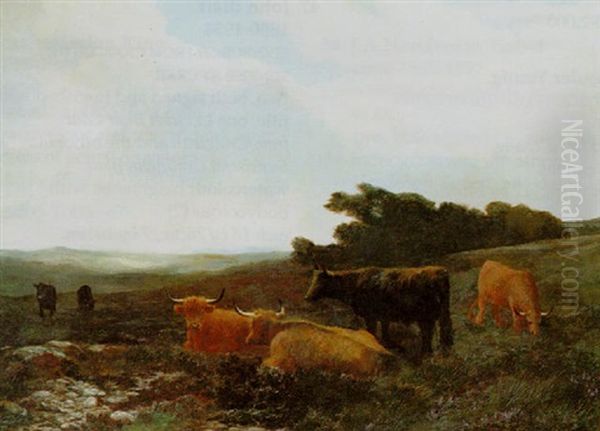 Cattle In The Highlands - view 1