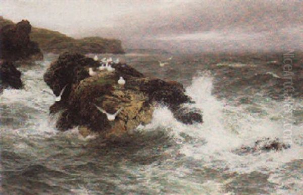 The Sea Bird's Resting Place - view 1