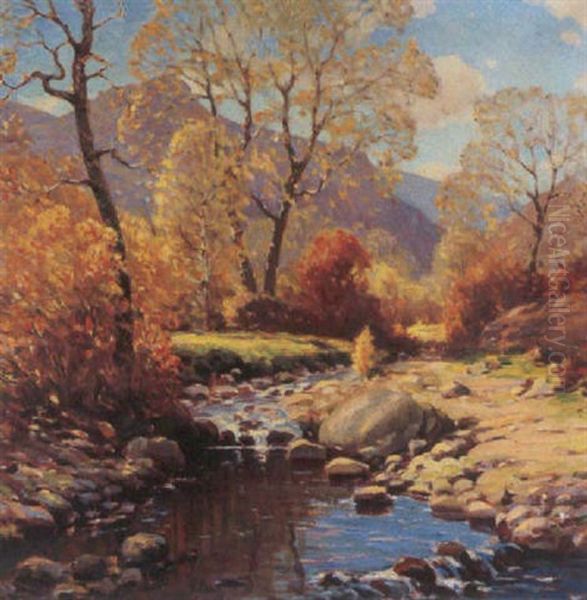A Colorado Mountain Brook - view 1