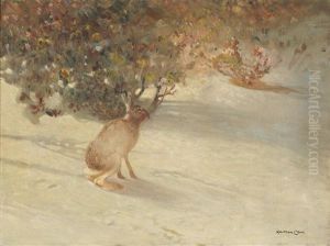 Hare by Halfdan Gran