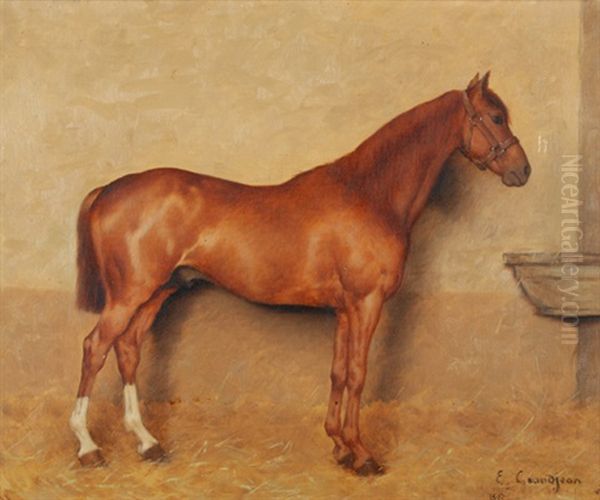 Pferd - view 1