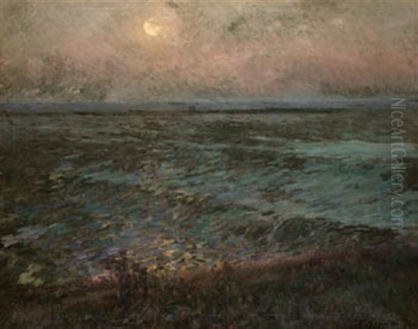 Nocturn - view 1