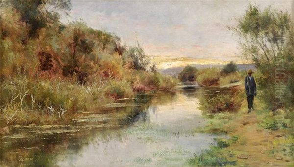 Sudamerikanische Fluslandschaft - view 1