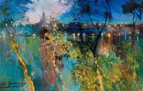 Vista Nocturna (nocturnal View) - view 1