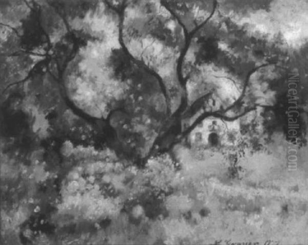 In Blossom - view 1