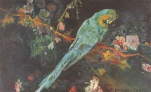 El Loro by Luis Graner y Arrufi