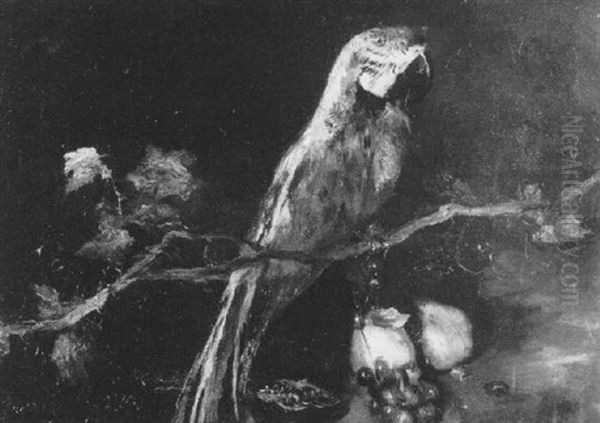 Parrot On A Vine - view 1