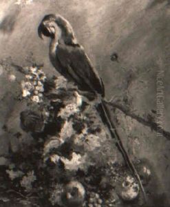 Blue Macaw by Luis Graner y Arrufi