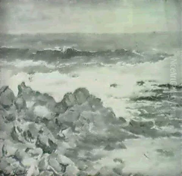 Oleajo Golpeando Las Rocas - view 1
