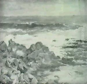 Oleajo Golpeando Las Rocas