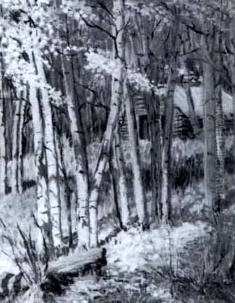 Deserted Miner's Cabin - view 1