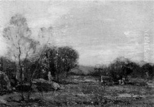 Landscape Landscape
