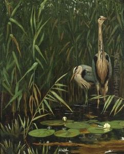 Two Herons Near The Waterfront