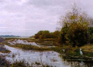 Moeraslandschap Met Reiger En Eenden