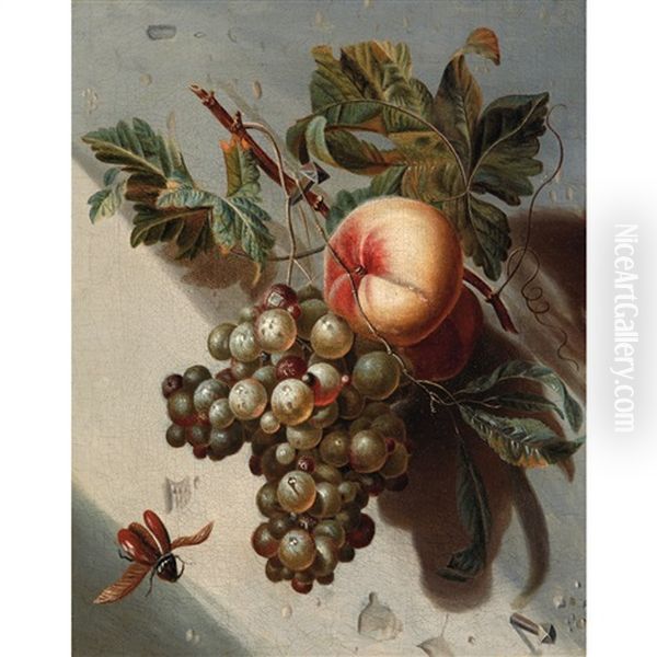 Still Life With Grapes And Peachers - view 1