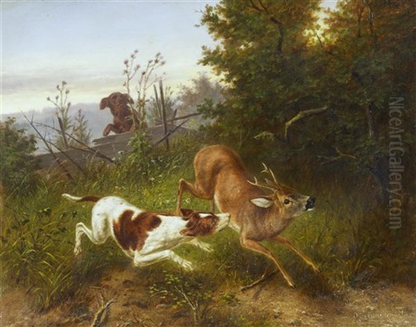 Hunde Reisen Rehbock - view 1