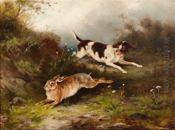Hase Schlagt Den Haken - view 1