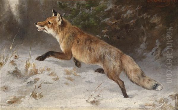 Fuchs Im Winterwald - view 1