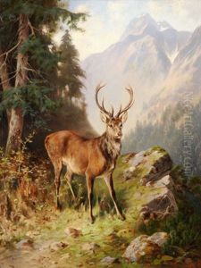 Der Hirsch