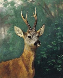 Rehbock by Otto Grashey