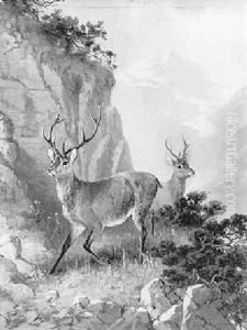 Zwei Hirsche Im Hochgebirge by Otto Grashey