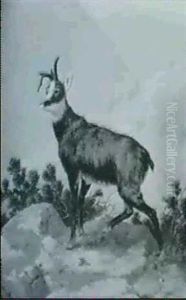 Gamsbock Im Gebirge Auf Einem Felsvorsprung by Otto Grashey