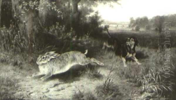 Rabbiting - view 1