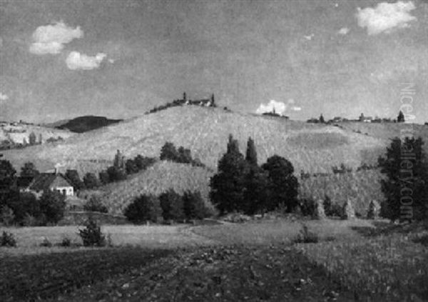 Sommer In Sudtirol Bei Bozen - view 1