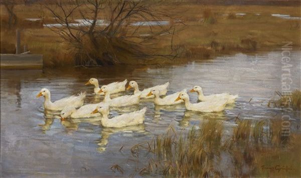 Neun Enten Auf Dem Wasser - view 1