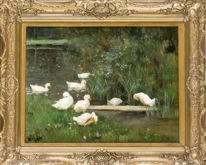 Enten Am Ufer by Franz Graessel