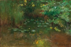 Water Lilies by Franz Graessel