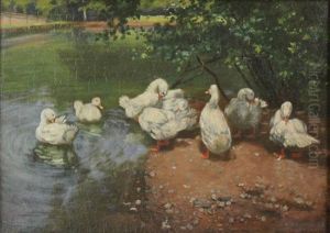 Ducks By A Pond by Franz Graessel