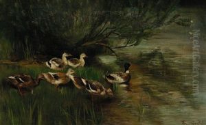 Sieben Enten Am Wasser by Franz Graessel