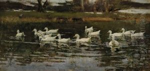 Zur Zeit Der Schneeschmelze (enten Auf Dem Wasser) by Franz Graessel