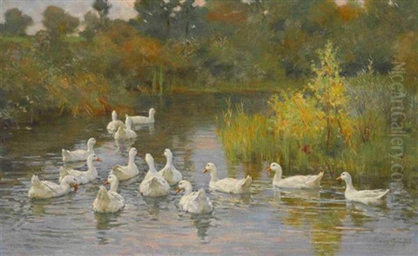 Enten Im Wasser - view 1