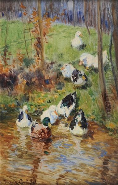 Ducks - view 1