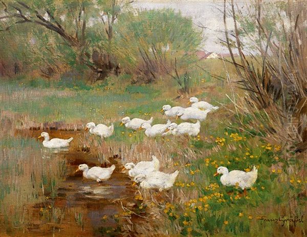 Enten Am Teichufer Im Fruhling, Bluhende Wiesen Und Weiden - view 1