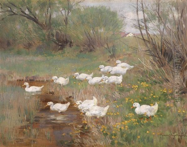 Enten Am Fruhlingsbach - view 1