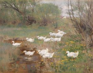 Enten Am Fruhlingsbach by Franz Graessel