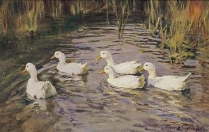 Funf Weise Enten Im Teich Funf Weise Enten Im Teich