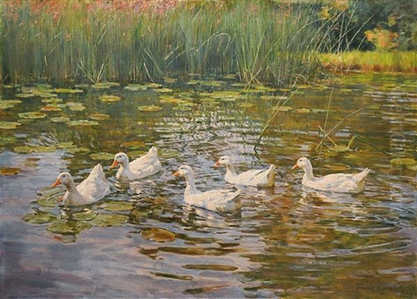 Funf Enten Im Seerosenteich - view 1