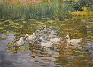 Funf Enten Im Seerosenteich by Franz Graessel