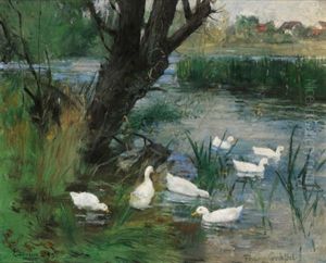 Enten Am Dorfteich by Franz Graessel