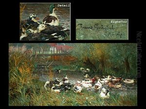 Enten Am Bach