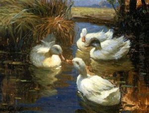 Vier Enten Im Schilf by Franz Graessel